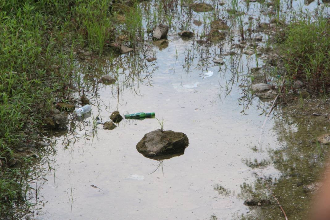 Seyhan Nehri’nin rengi değişti. Bu görüntünün sebebi ne? - Resim: 12